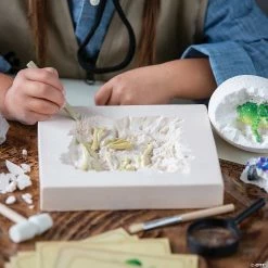 MW Dig It Up! Deluxe Excavation Kit -Creative Activities Sales dig it up deluxe excavation kit14122646 a03