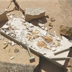 MW Dig It Up! Dino Model: Triceratops -Creative Activities Sales dig it up dino model triceratops13940907 a02