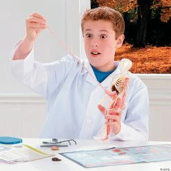 MW Squishy Human Body -Creative Activities Sales squishy human body56164 a02