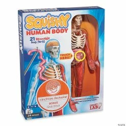 MW Squishy Human Body -Creative Activities Sales squishy human body56164 a04
